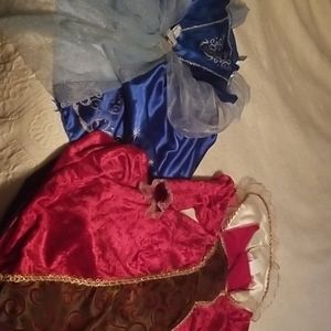 2 princess costumes Disney and target.